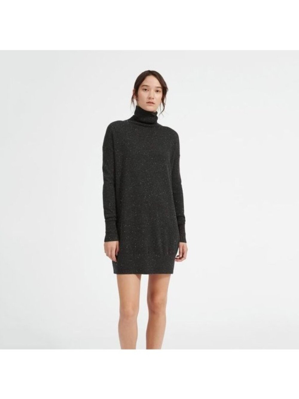 Everlane Speckled Cashmere Turtleneck Sweater Dress